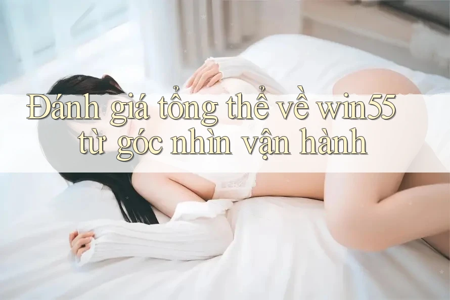Đánh giá tổng thể về win55 từ góc nhìn vận hành Đánh giá tổng thể về win55 từ góc nhìn vận hành