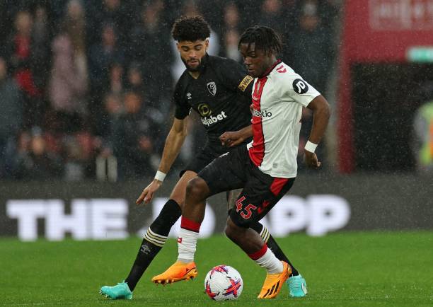 他们能提供 他们能提供